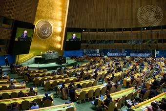 Naciones Unidas adopta promover la economía social y solidaria 